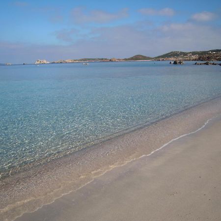 Monolocale In Villa Centrale La Maddalena  Luaran gambar